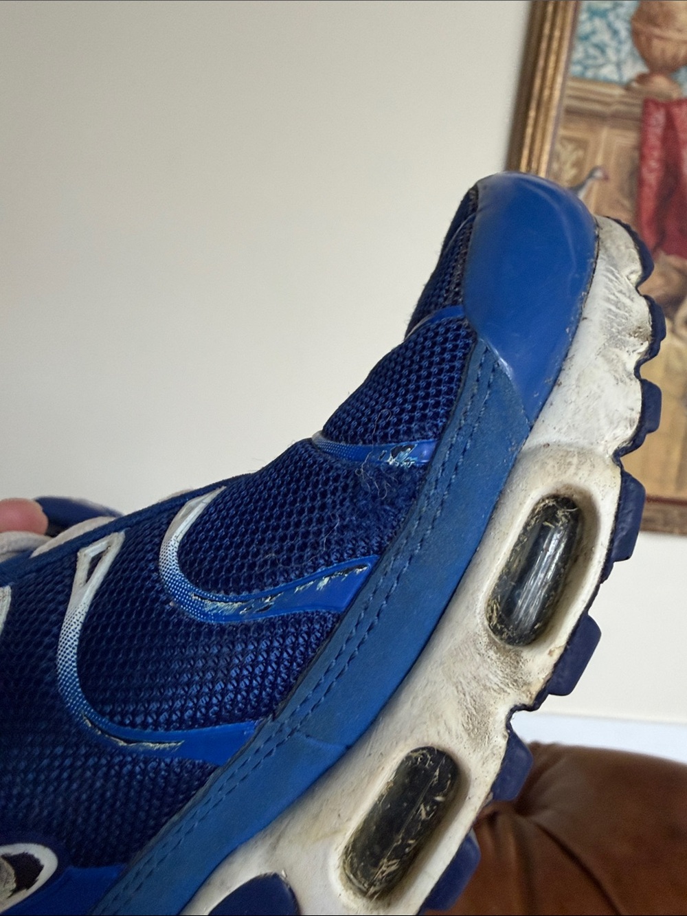 Nike Air Max Plus TN Arctic Chill Men’s Size 8 Royal Blue White - Picture 7 of 12